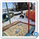 IMG-20260128-WA0016