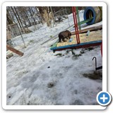 IMG-20260128-WA0019