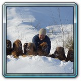 unsere Hunde und wir (23)