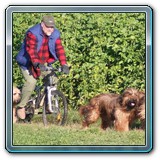 unsere Hunde und wir (41)