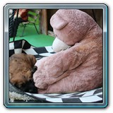 IMG_0721 (1)