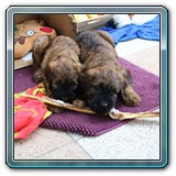 IMG_0759
