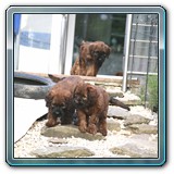 IMG_0797 (1)
