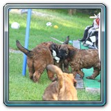 IMG_0807 (1)