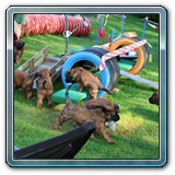 IMG_0831