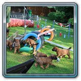 IMG_0832