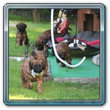 IMG_0871