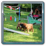 IMG_0874 (1)