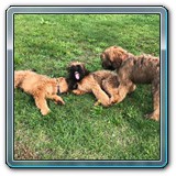 IMG-20190929-WA0024