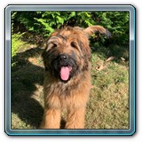 IMG-20190929-WA0026